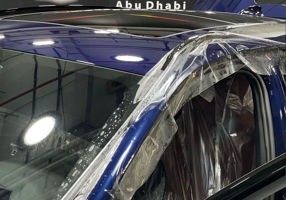 Paint protection solution